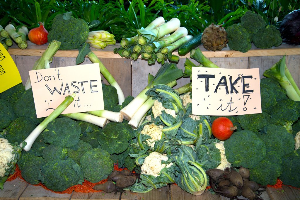 gerettete Lebensmittel